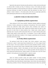 Įmonės vadybinės veiklos analizė: UAB "Senukų prekybos centras" 6 puslapis