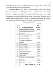 Vaškinių figūrų muziejaus verslo planas 20 puslapis