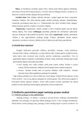 Viešbučių pasirinkimas pagal vartotojų grupes 11 puslapis