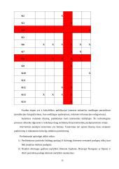 Techninis inovacinis procesas "Oketa" 11 puslapis