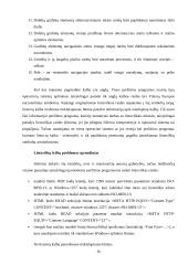 Techninis inovacinis procesas "Oketa" 16 puslapis