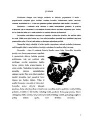 Keramika, pagrindinės žaliavos 2 puslapis