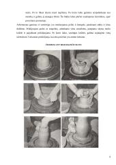 Keramika, pagrindinės žaliavos 9 puslapis