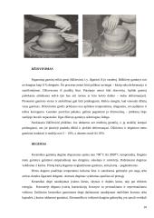Keramika, pagrindinės žaliavos 10 puslapis