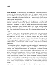 Esamų vartotojų iš­laikymas nutraukiant vartotojų lojalumo programą 2 puslapis