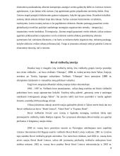 Viešbučio „Reval Hotel Lietuva“ ir turizmo agentūrų tinklo „West Express“ bendradarbiavimo veiklos tobulinimo galimybės 18 puslapis