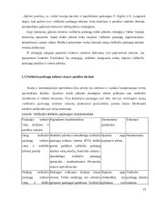 Tinklinės rinkodaros strategijos planavimas organizuojant viešbučio veiklą Lietuvoje 19 puslapis