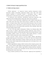 Tinklinės rinkodaros strategijos planavimas organizuojant viešbučio veiklą Lietuvoje 4 puslapis