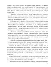 Tinklinės rinkodaros strategijos planavimas organizuojant viešbučio veiklą Lietuvoje 5 puslapis