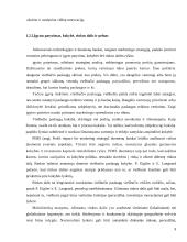 Tinklinės rinkodaros strategijos planavimas organizuojant viešbučio veiklą Lietuvoje 9 puslapis