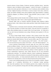 Mėsos produktų pardavimų valdymas „X“ įmonėje 11 puslapis