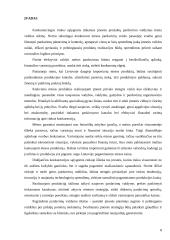 Mėsos produktų pardavimų valdymas „X“ įmonėje 8 puslapis