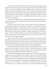 Netiesioginiai mokesčiai Lietuvoje ir jų poveikis šalies ekonomikai 19 puslapis