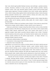 Netiesioginiai mokesčiai Lietuvoje ir jų poveikis šalies ekonomikai 6 puslapis