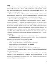 Mokesčių naštos vertinimas – esmė, principai, prielaidos 2 puslapis