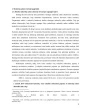 Mokesčių naštos vertinimas – esmė, principai, prielaidos 4 puslapis