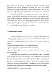 Nekilnojamojo turto rinkos Lietuvoje ir JAV palyginimas 12 puslapis