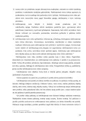 Nekilnojamojo turto rinkos Lietuvoje ir JAV palyginimas 18 puslapis