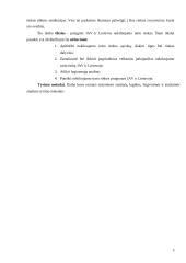 Nekilnojamojo turto rinkos Lietuvoje ir JAV palyginimas 3 puslapis