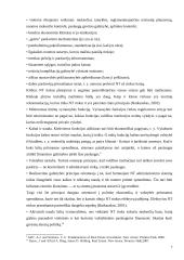 Nekilnojamojo turto rinkos Lietuvoje ir JAV palyginimas 7 puslapis