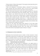 Nekilnojamojo turto rinkos Lietuvoje ir JAV palyginimas 8 puslapis