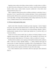 Darbo uzmokesčio lygis atskiruose sektoriuse  17 puslapis