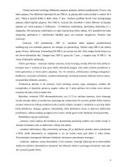 Darbo uzmokesčio lygis atskiruose sektoriuse  4 puslapis