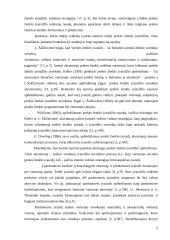 Drabužių parduotuvių įvaizdžio vertinimas  5 puslapis