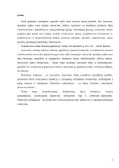 Informacinių sistemų turizmo įmonės praktikos ataskaita 2 puslapis