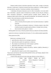 Informacinių sistemų turizmo įmonės praktikos ataskaita 17 puslapis