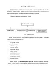 Sandėlio inovacijų projektas 11 puslapis