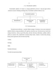 Sandėlio inovacijų projektas 12 puslapis