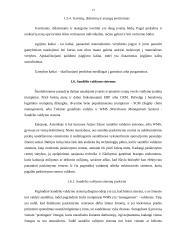 Sandėlio inovacijų projektas 13 puslapis