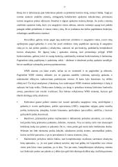 Sandėlio inovacijų projektas 17 puslapis