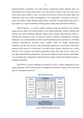 Sandėlio inovacijų projektas 19 puslapis