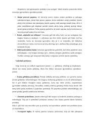 Sandėlio inovacijų projektas 7 puslapis