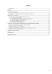 Projektų valdymas UAB "Travelita" 2 puslapis