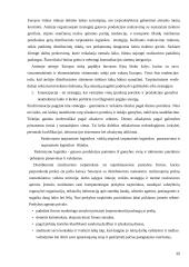 Projektų valdymas UAB "Travelita" 12 puslapis