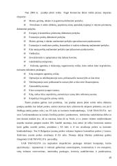 Projektų valdymas UAB "Travelita" 15 puslapis