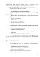 Projektų valdymas UAB "Travelita" 18 puslapis