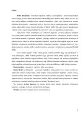 Projektų valdymas UAB "Travelita" 3 puslapis