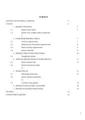 Renginių organizavimo įmonės „Fortūna“ verslo planas 2 puslapis