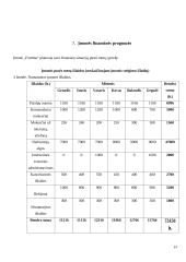 Renginių organizavimo įmonės „Fortūna“ verslo planas 19 puslapis
