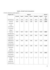Renginių organizavimo įmonės „Fortūna“ verslo planas 20 puslapis