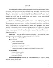 Eksporto plėtros galimybės UAB „DALEMA“ 2 puslapis