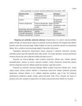 Eksporto plėtros galimybės UAB „DALEMA“ 17 puslapis