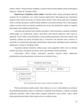 Eksporto plėtros galimybės UAB „DALEMA“ 20 puslapis