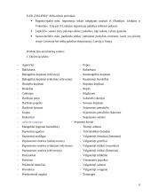 Eksporto plėtros galimybės UAB „DALEMA“ 4 puslapis