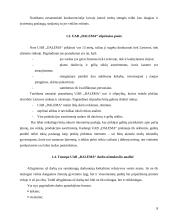 Eksporto plėtros galimybės UAB „DALEMA“ 6 puslapis