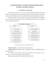 Eksporto plėtros galimybės UAB „DALEMA“ 8 puslapis